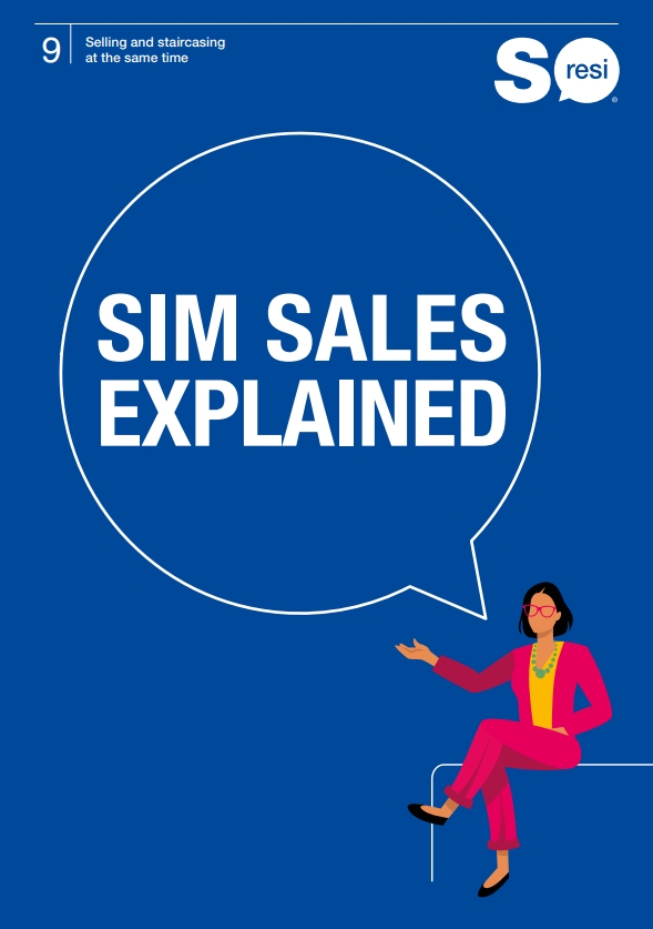 Screenshot 9 SIM Sales Explained